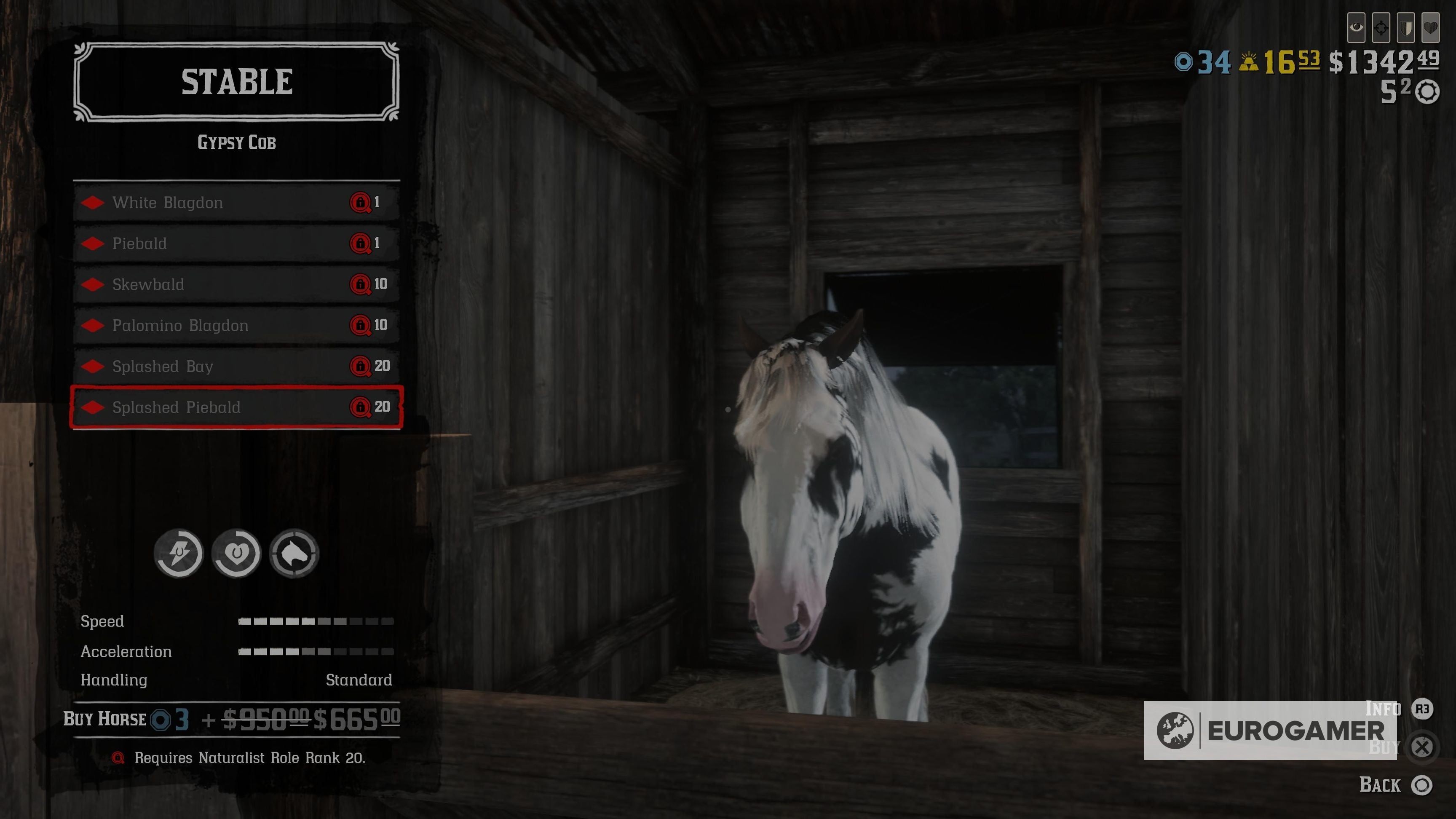 Red Dead Online best horses explained Our best beginner and overall